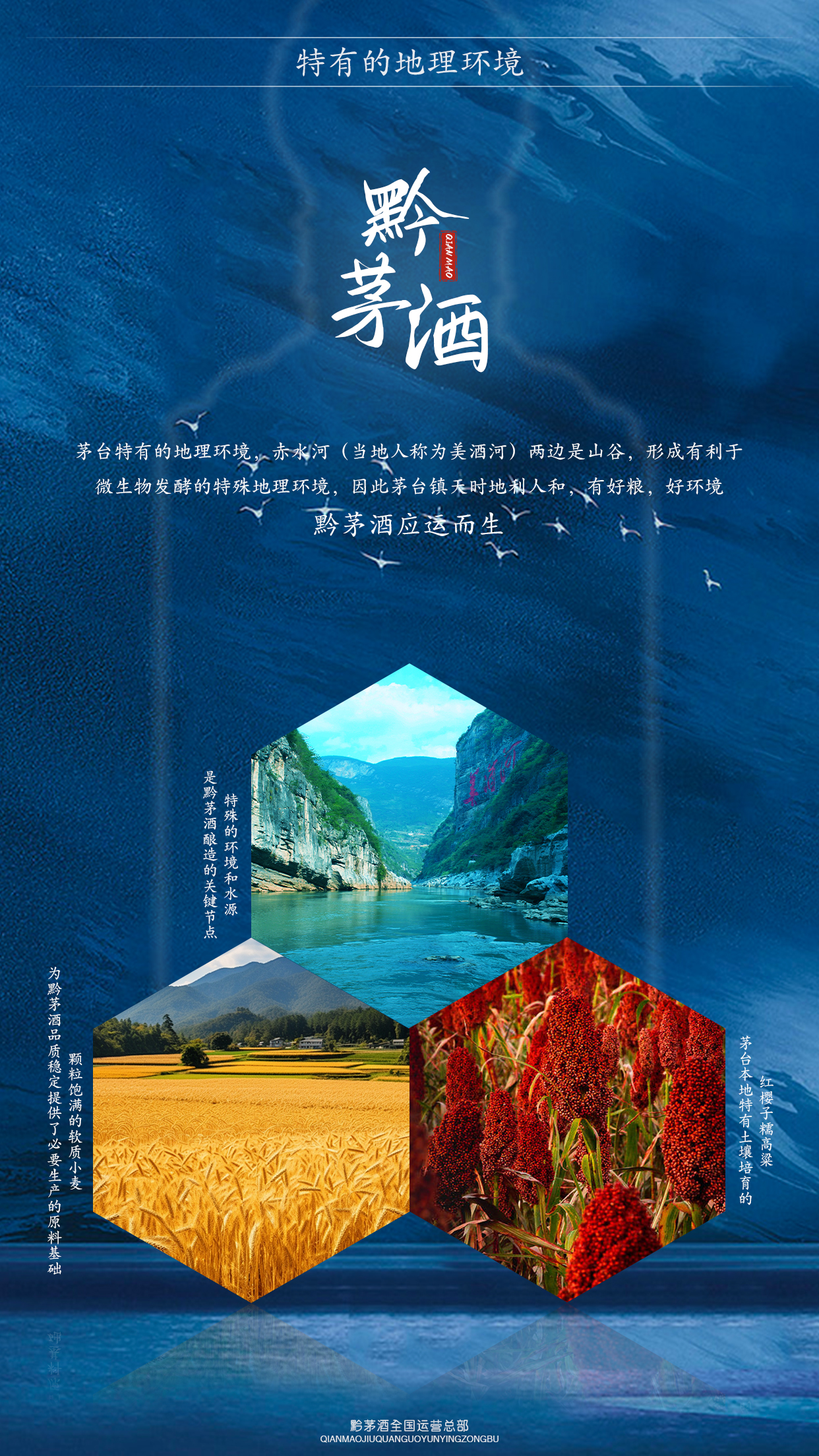 微信图片_20250306105922.jpg